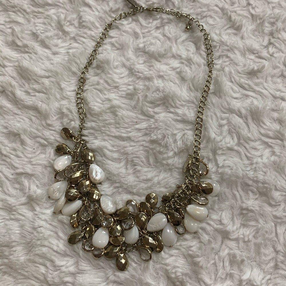 Stunning statement necklace by the Limited
